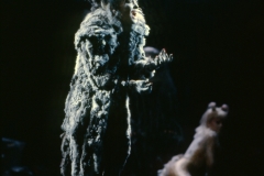 Gay Marshall in Cats, Paris